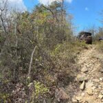 Boar's Head Resort Off Road Jeep Tour - Deep Dive Into the Details