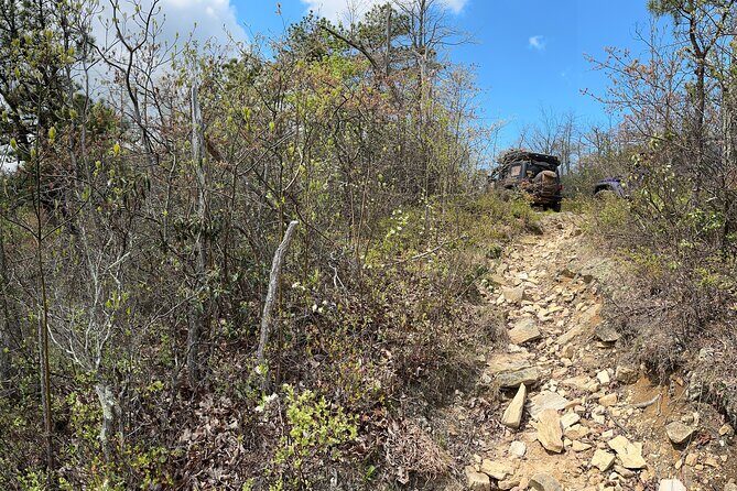 Boar's Head Resort Off Road Jeep Tour - Deep Dive Into the Details