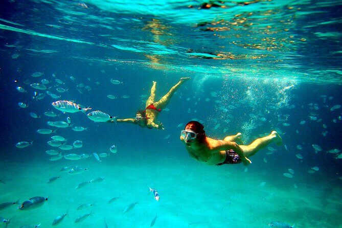 Boat and Snorkeling Private tour max 6 People - Price and Value: Is It Worth It?