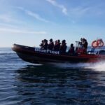 Boat Cruise to Algar de Benagil from Lagos - Detailed Review of the Boat Cruise to Algar de Benagil