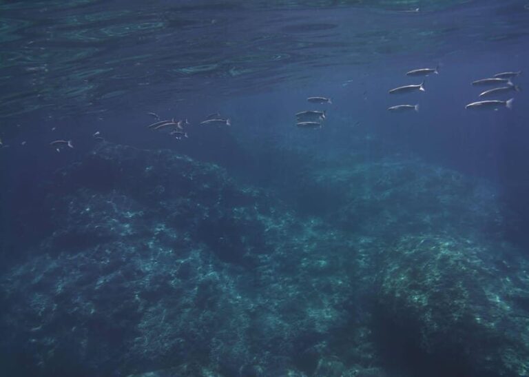 Boat excursion Giardini Naxos Taormina with swimming break - Discovering the Highlights of the Tour