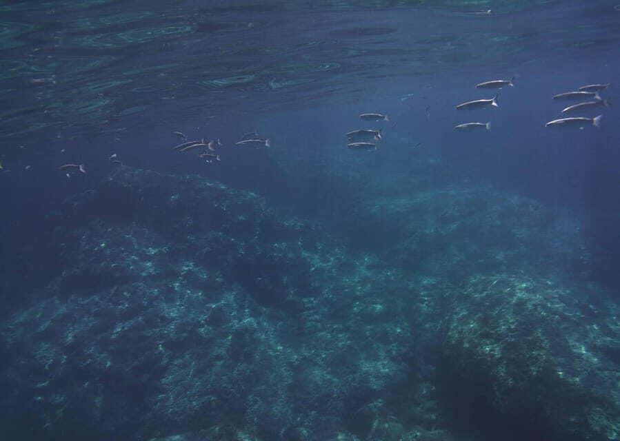 Boat excursion Giardini Naxos Taormina with swimming break - Discovering the Highlights of the Tour