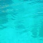 Boat excursion to the gulf of Cagliari and its coves - Final Thoughts: Is This the Right Tour for You?