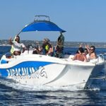Boat excursions to the caves of Capo di Leuca - The Sum Up