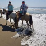 Boat Ride-Gentle Beach Beach Horseback Ride+Lunch-Crocs-Turtles - Practical Details and What to Expect