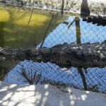 Boat Ride-Gentle Beach Beach Horseback Ride+Lunch-Crocs-Turtles - Practical Tips for Your Tour