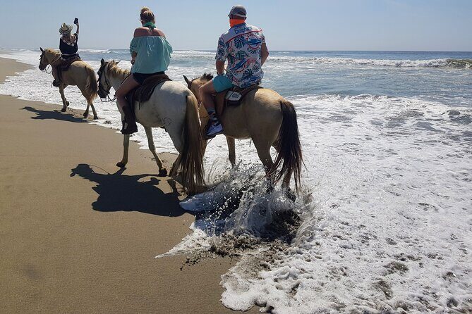Boat Ride-Gentle Beach Beach Horseback Ride+Lunch-Crocs-Turtles - Practical Details and What to Expect