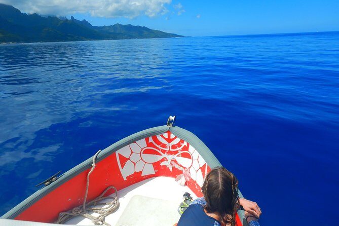 Boat tour 1/2 day Excursion in the lagoon of Moorea - Final Thoughts
