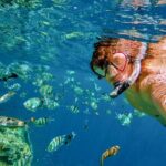 Boat Tour and Snorkel at Pelican Rock - The Value for Money and Practical Details