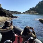 Boat Tour around Vila Franca do Campo Islet in Azores - Detailed Review of the Vila Franca do Campo Islet Boat Tour