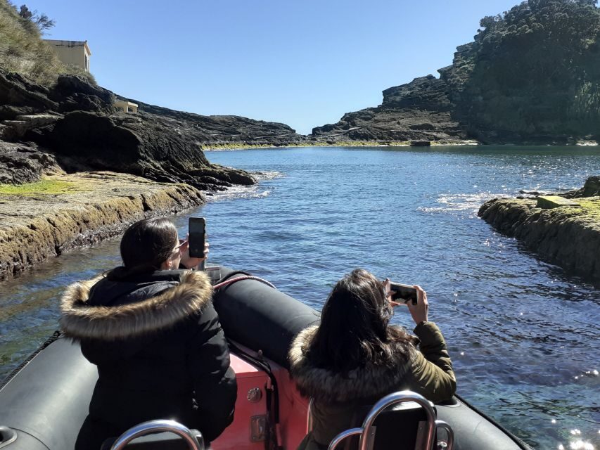 Boat Tour around Vila Franca do Campo Islet in Azores - Detailed Review of the Vila Franca do Campo Islet Boat Tour