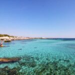 Boat tour Excursion from Trapani to Favignana and Levanzo 8 hours - Who Will Love This Tour?