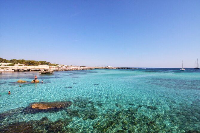 Boat tour Excursion from Trapani to Favignana and Levanzo 8 hours - Who Will Love This Tour?