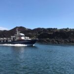 Boat Tour in Vestmannaeyjar - Final Thoughts: Is It Worth It?