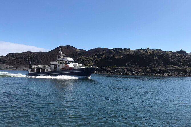 Boat Tour in Vestmannaeyjar - Final Thoughts: Is It Worth It?
