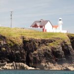 Boat Tour of Dingle Peninsula - Why This Tour Works