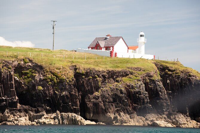 Boat Tour of Dingle Peninsula - Why This Tour Works
