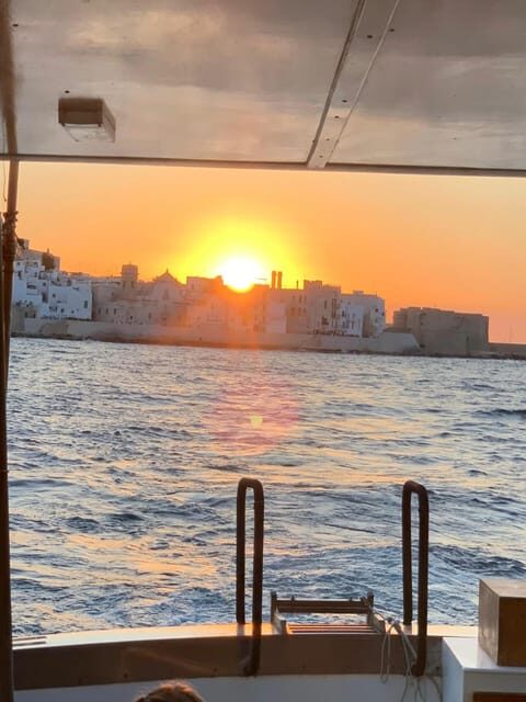 BOAT TOUR POLIGNANO A MARE with swim stop and aperitiv - Who Should Consider This Tour?
