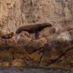Boat Tour Snorkeling Tour with Guide, Drinks and Fruit - What’s Included and What’s Not