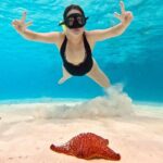 Boat Tour to Heaven in Cozumel with Ceviche - Why This Tour Offers Great Value