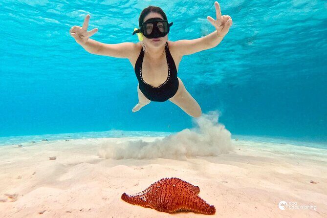 Boat Tour to Heaven in Cozumel with Ceviche - Why This Tour Offers Great Value