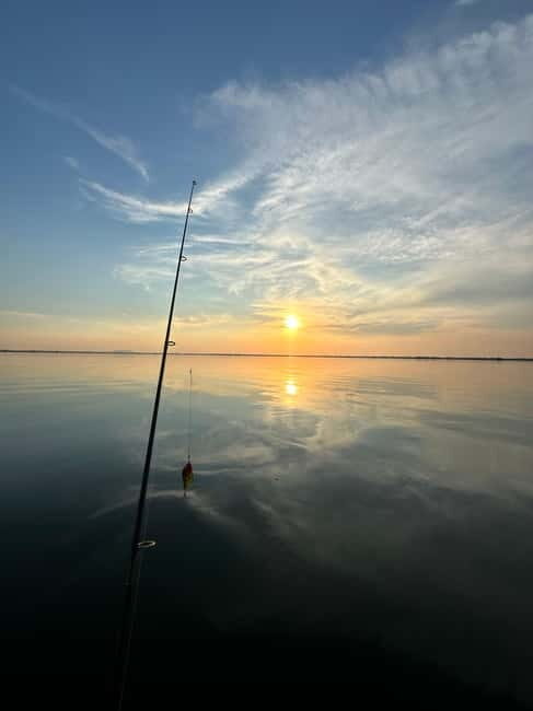 Boat Tour to Letea Forest - Exploring the Path of the Day: What to Expect