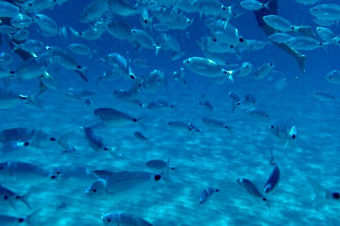 Boat Tour to Sella del Diavolo: Snorkeling, GoPro & Beer - A Deep Dive into the Experience
