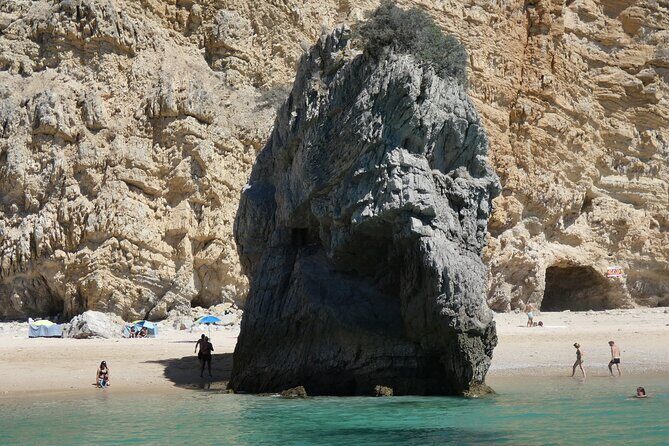 Boat Transfer to Ribeiro do Cavalo Beach with Return - The Details: What You Can Expect on This Boat Transfer