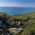 Boat Trip and Jeep Tour with Lunch in Arrábida - Exploring the Details: The Experience in Depth