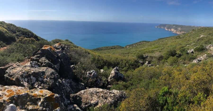Boat Trip and Jeep Tour with Lunch in Arrábida - Exploring the Details: The Experience in Depth