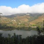Boat trip - Foz do Távora - The Experience from Different Perspectives