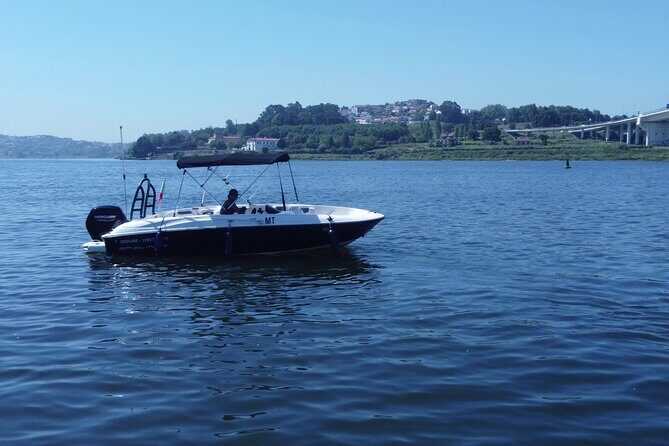 Boat Trip in Douro Porto - Why This Tour Works Well