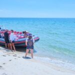 Boat trip to Foz do Sado, Troia and Arrábida, Setúbal - How the Tour Fits into a Portugal Itinerary
