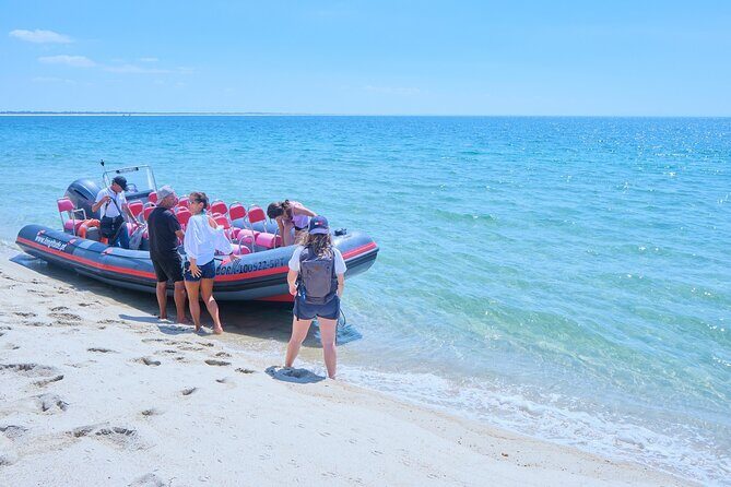Boat trip to Foz do Sado, Troia and Arrábida, Setúbal - How the Tour Fits into a Portugal Itinerary
