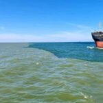 Boat trip to the Danube's mouth at the Black Sea - Who Will Love This Tour?