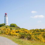 Boat trip to the Island of Hiddensee from Zingst - A Detailed Look at the Hiddensee Day Trip