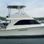 Boating or Fishing Charter Chicago's Lake Michigan - Who Should Consider This Tour?