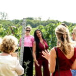 Bodiam: Vineyard Tour and Wine Tasting Experience - Exploring the Bodiam Vineyard Tour: A Detailed Look
