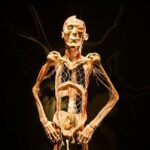 Bodies The Exhibition at the Luxor Hotel and Casino - The Experience: What It Feels Like to Visit