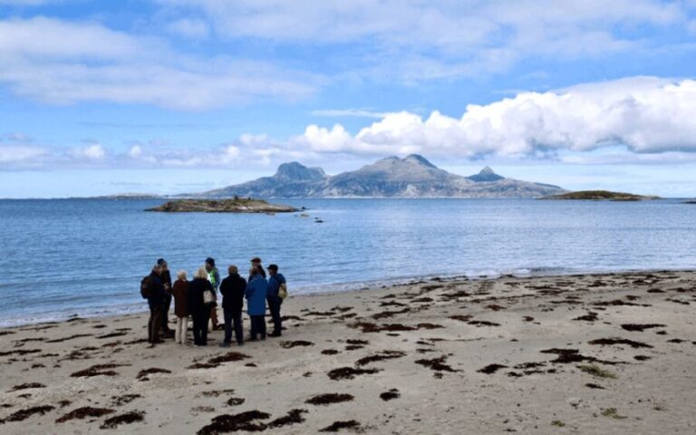 Bodø: Arctic Coastal Walk - Key Points