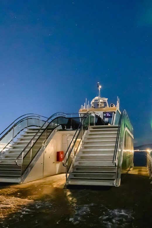 Bodø: Northern Lights Cruise - Final Thoughts