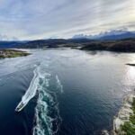 Bodø: Saltstraumen RIB Safari - A Deep Dive into the Saltstraumen RIB Safari Experience