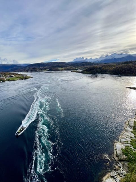 Bodø: Saltstraumen RIB Safari - A Deep Dive into the Saltstraumen RIB Safari Experience