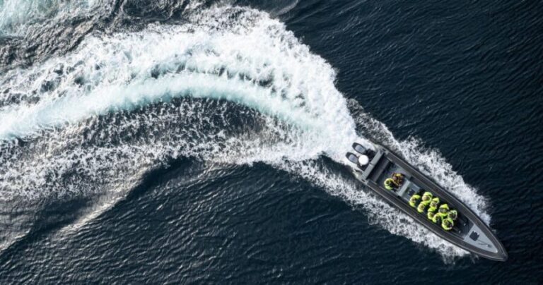 Bodø: Saltstraumen Sea Eagle Trip by RIB - Key Points