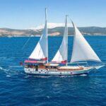Bodrum: Bodrum Private Boat Tour with Lunch - Who Should Consider This Tour?