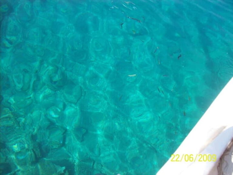 Bodrum: Cleopatra Island Tour with Lunch and Swimming Stops - Final Thoughts: Is This Tour for You?