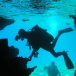 Bodrum diving day for advanced and beginner divers - Who Should Consider This Tour?