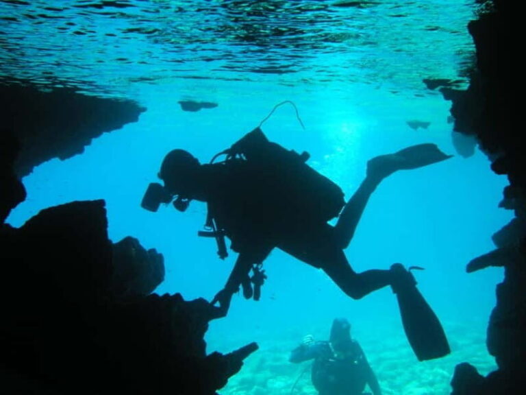 Bodrum diving day for advanced and beginner divers - Who Should Consider This Tour?