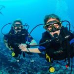 Bodrum: Full-Day Scuba Diving Tour - What to Expect from the Bodrum Full-Day Scuba Tour