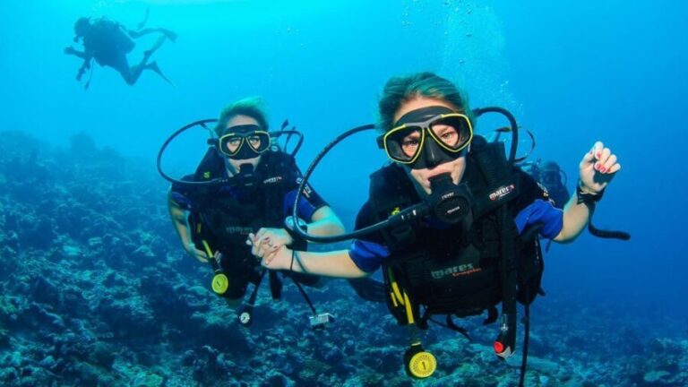 Bodrum: Full-Day Scuba Diving Tour - What to Expect from the Bodrum Full-Day Scuba Tour